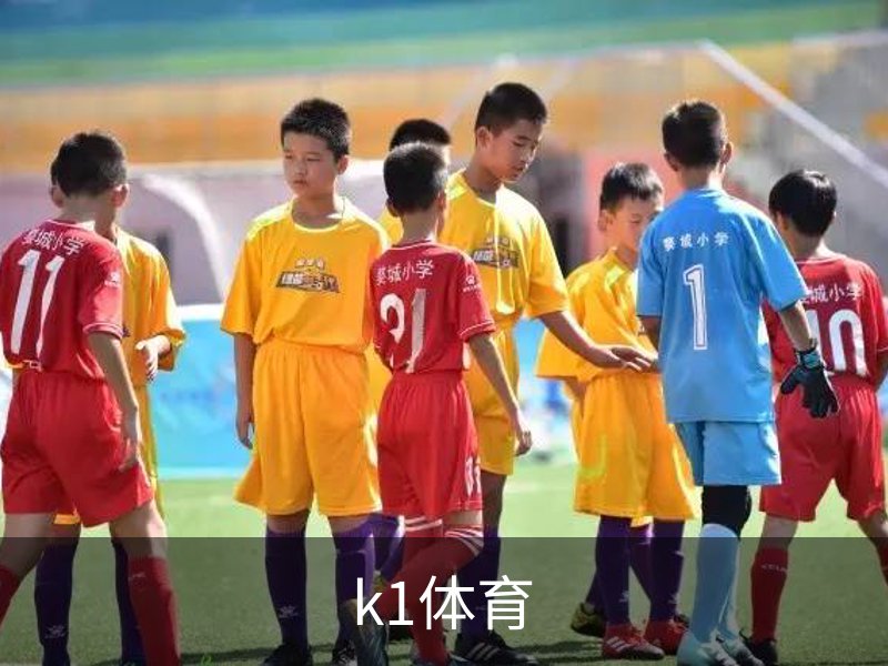 k1体育概况